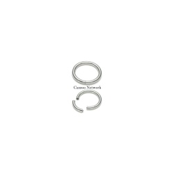 CP101 Segment piercing ring smykker