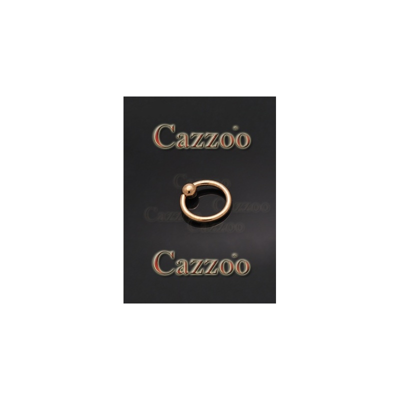 Guld captive piercing ring BCR
